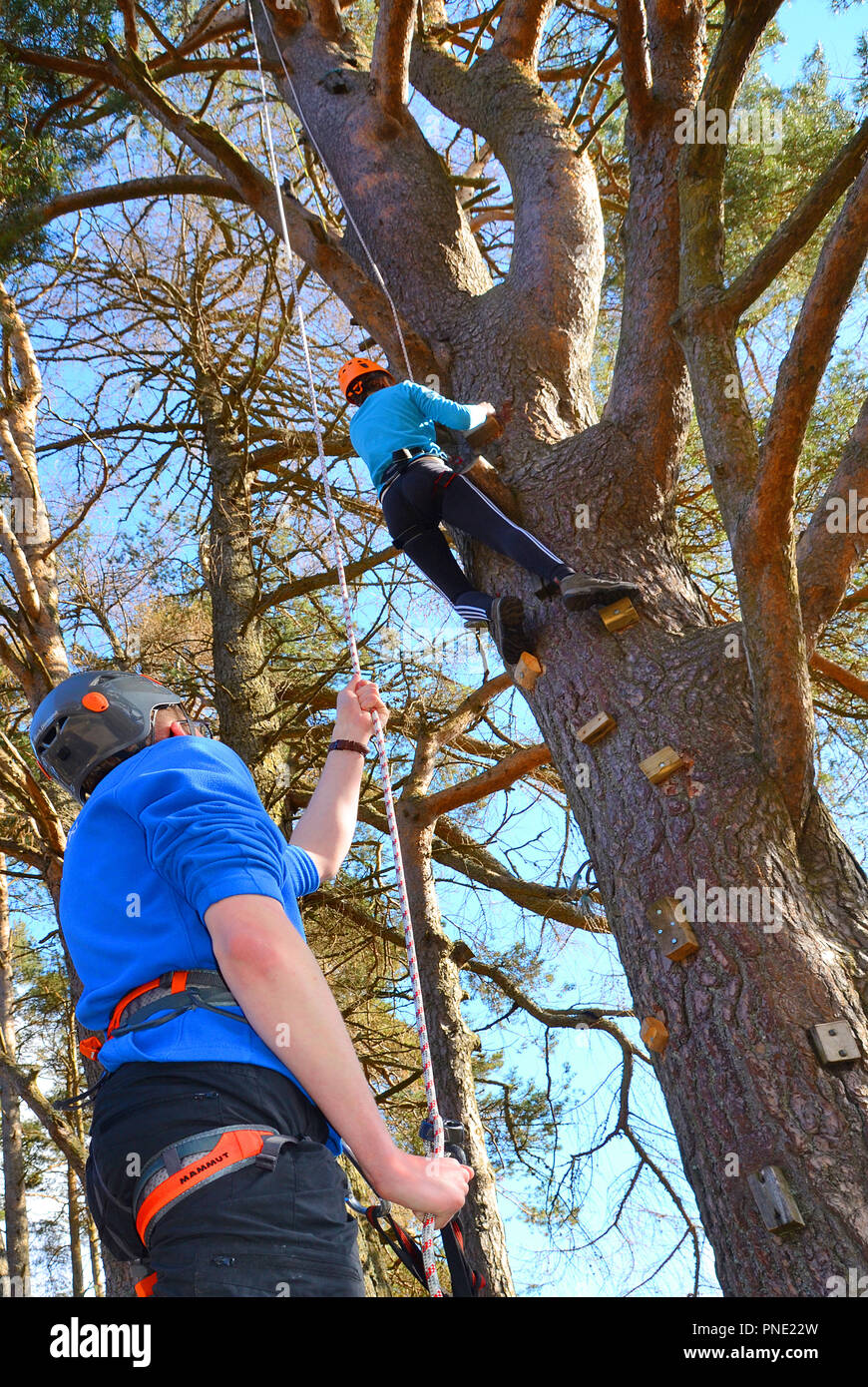 An Instructor harnessed to and instructing a  teenage girl tree climbing. Stock Photo
