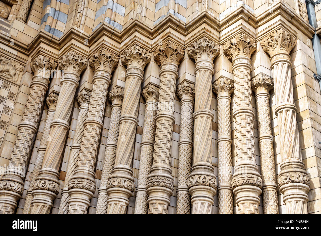 London England,UK,Kensington,Natural History Museum,exterior,Romanesque architecture,facade detail,ornate columns pillars,Alfred Waterhouse,UK GB Engl Stock Photo
