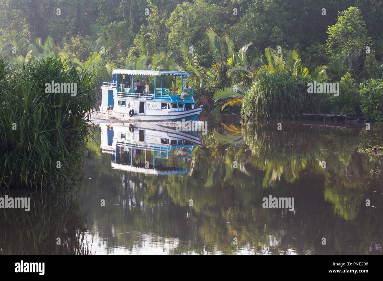 Klotok With Tourists On The Sekonyer River Tanjung Puting - 