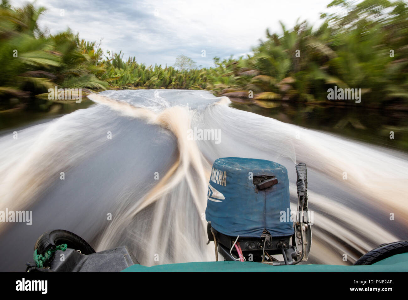Speed Boat on the Sekonyer River, Tanjung Puting National Park, Borneo, Indonesia. Stock Photo