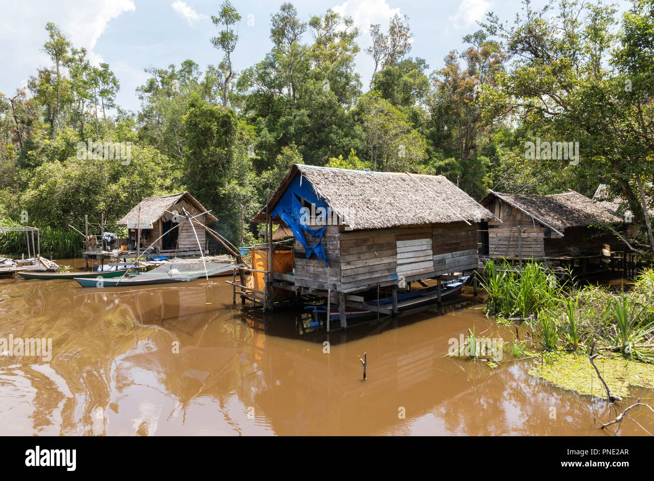 Small fishing village on the Sekonyer River, Tanjung Puting National Park, Borneo, Indonesia. Stock Photo