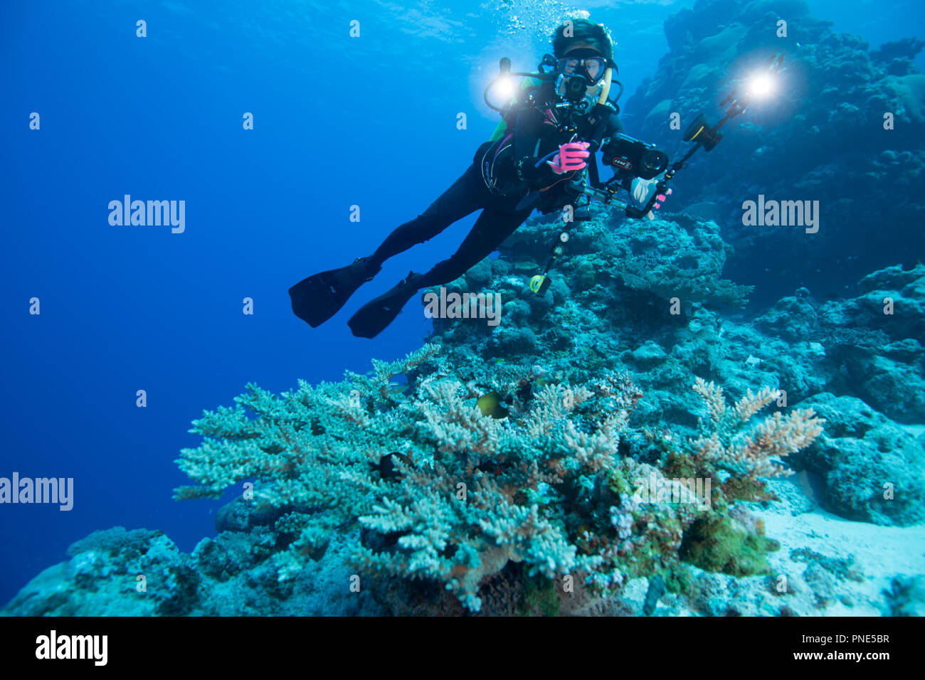 a diver taking underwater photograph. Yap island Federated States of Micronesia Stock Photo