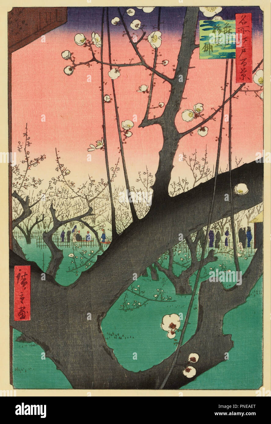 Plum Garden, Kameido. Date/Period: 1857. Woodblock print. Width: 8.9 in. Height: 13.5 in. Author: Ando Hiroshige. Utagawa Hiroshige. Stock Photo