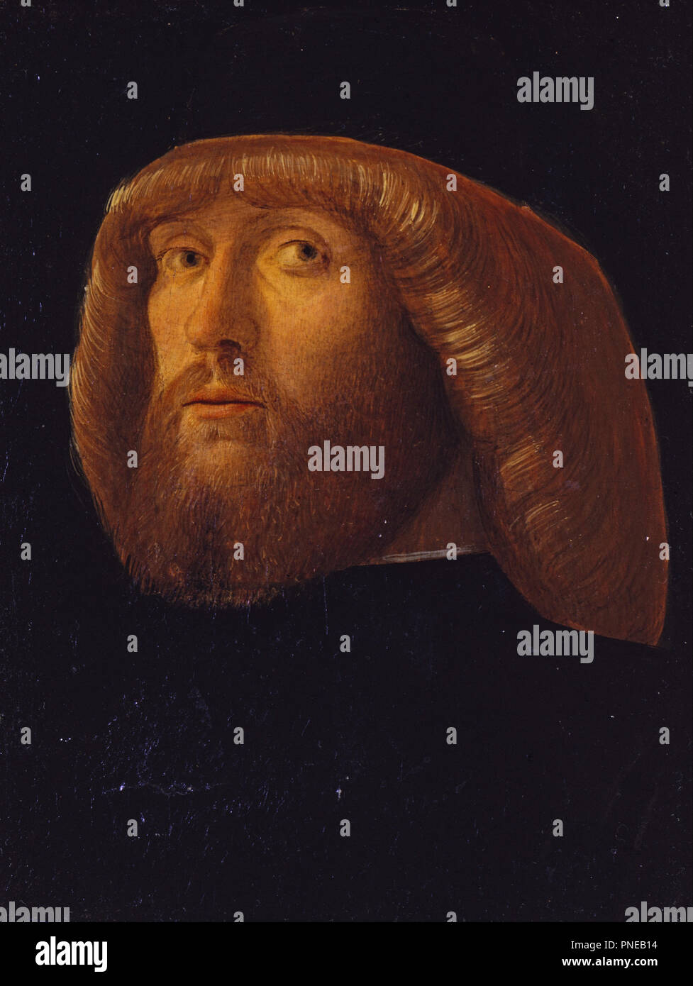 A Bearded Man. Date/Period: 1485. Tempera on Panel. Author: GIOVANNI BELLINI. Stock Photo