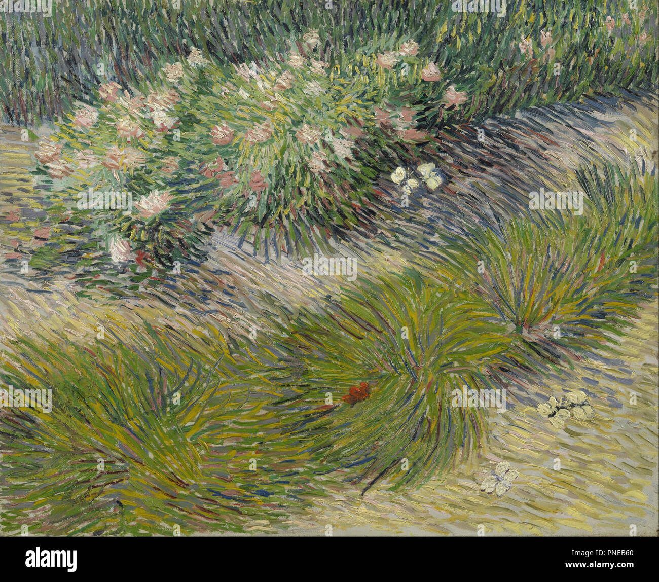 Lawn with butterflies. Date/Period: Arles, April 1889. Painting. Oil on canvas. Height: 51 cm (20 in); Width: 61 cm (24 in). Author: VINCENT VAN GOGH. VAN GOGH, VINCENT. Stock Photo