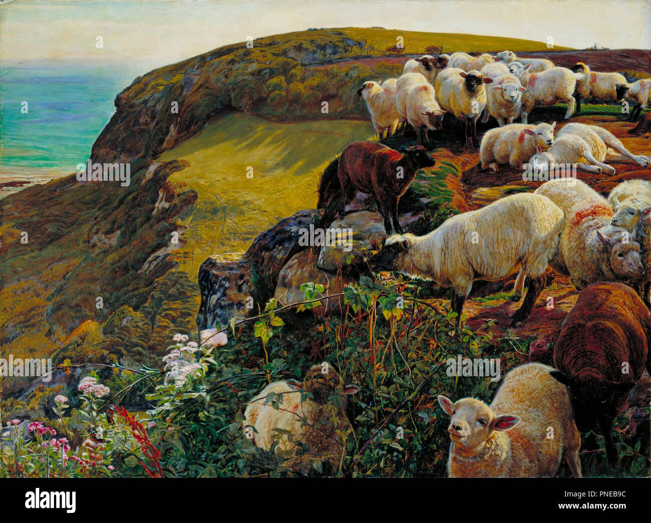 Our English Coasts or Strayed Sheep   Nos Côtes anglaises ou Moutons abandonnés. Date/Period: 1852. Painting. Oil on canvas. Height: 432 mm (17 in); Width: 584 mm (22.99 in). Author: William Holman Hunt. HUNT, WILLIAM HOLMAN. Stock Photo
