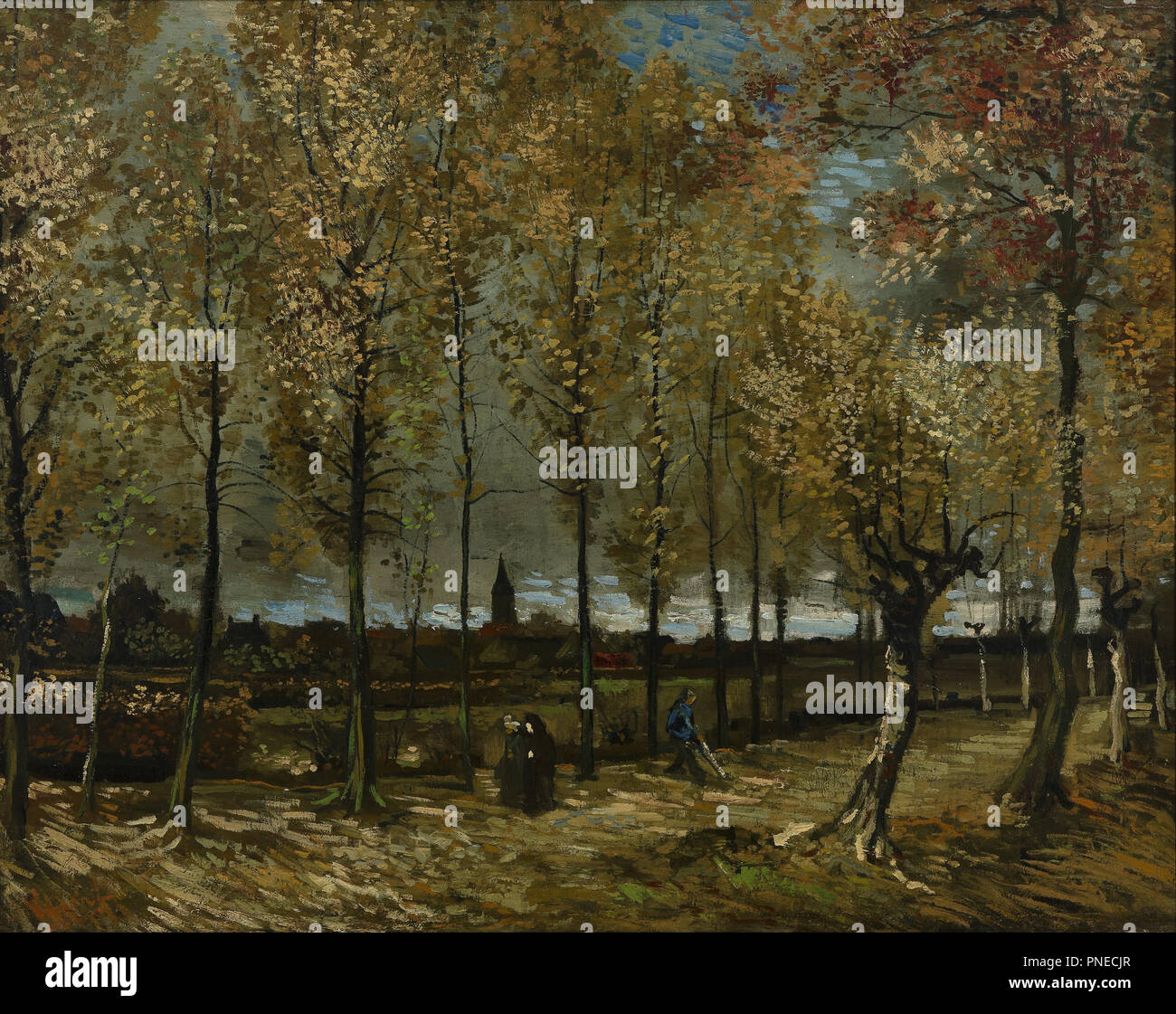 Lane with Poplars near Nuenen. Date/Period: November 1885. Painting. Oil on canvas. Height: 78 cm (30.7 in); Width: 98 cm (38.5 in). Author: VINCENT VAN GOGH. Stock Photo