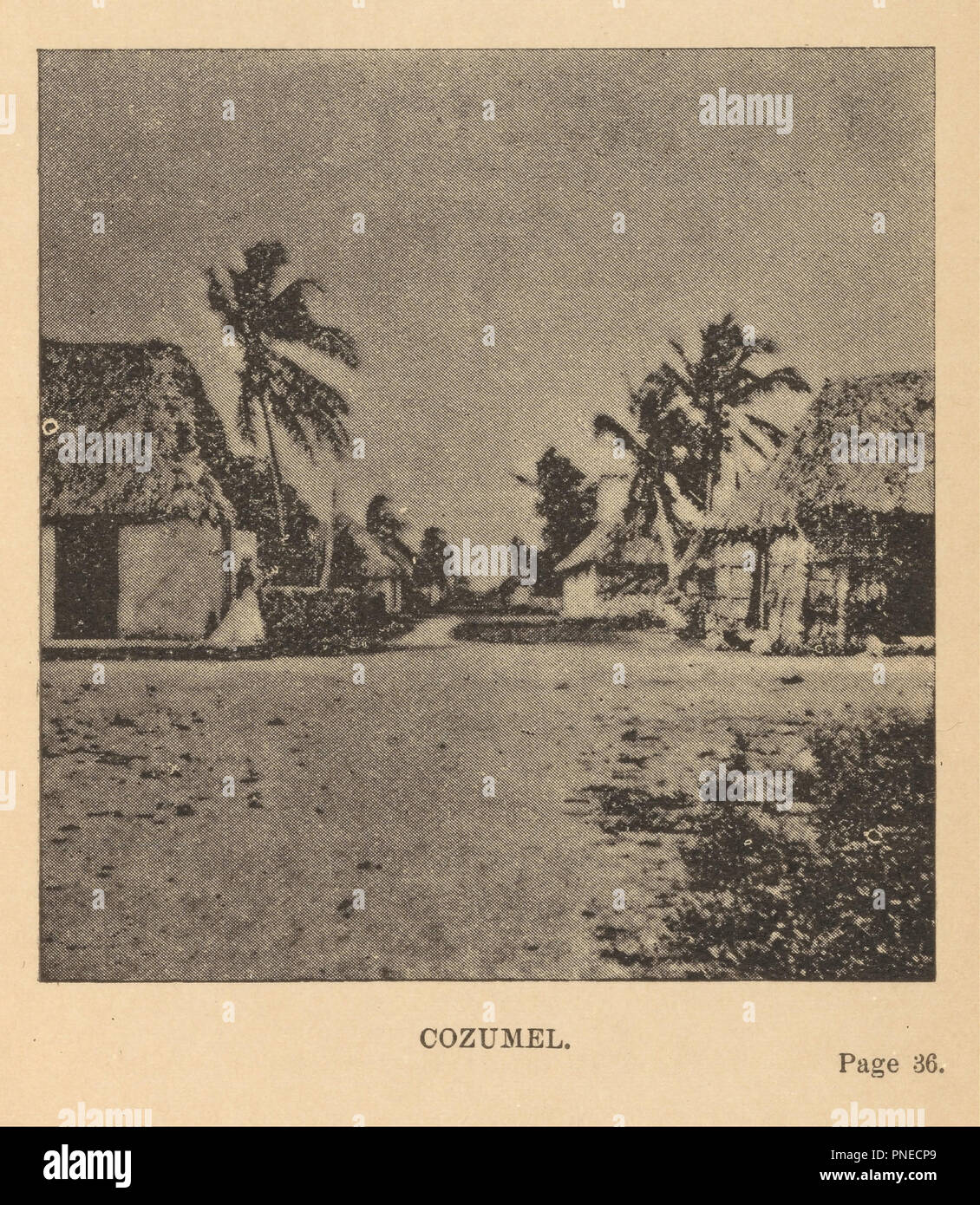 Cozumel. Date/Period: 1889. Print. Halftone. Height: 79 mm (3.11 in); Width: 75 mm (2.95 in). Author: Alice Dixon Le Plongeon. Stock Photo