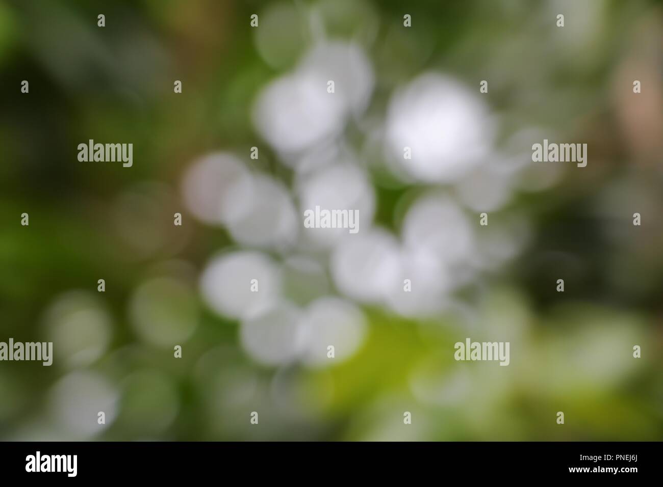 Bokeh abstract natural color warm background with copy space Stock ...