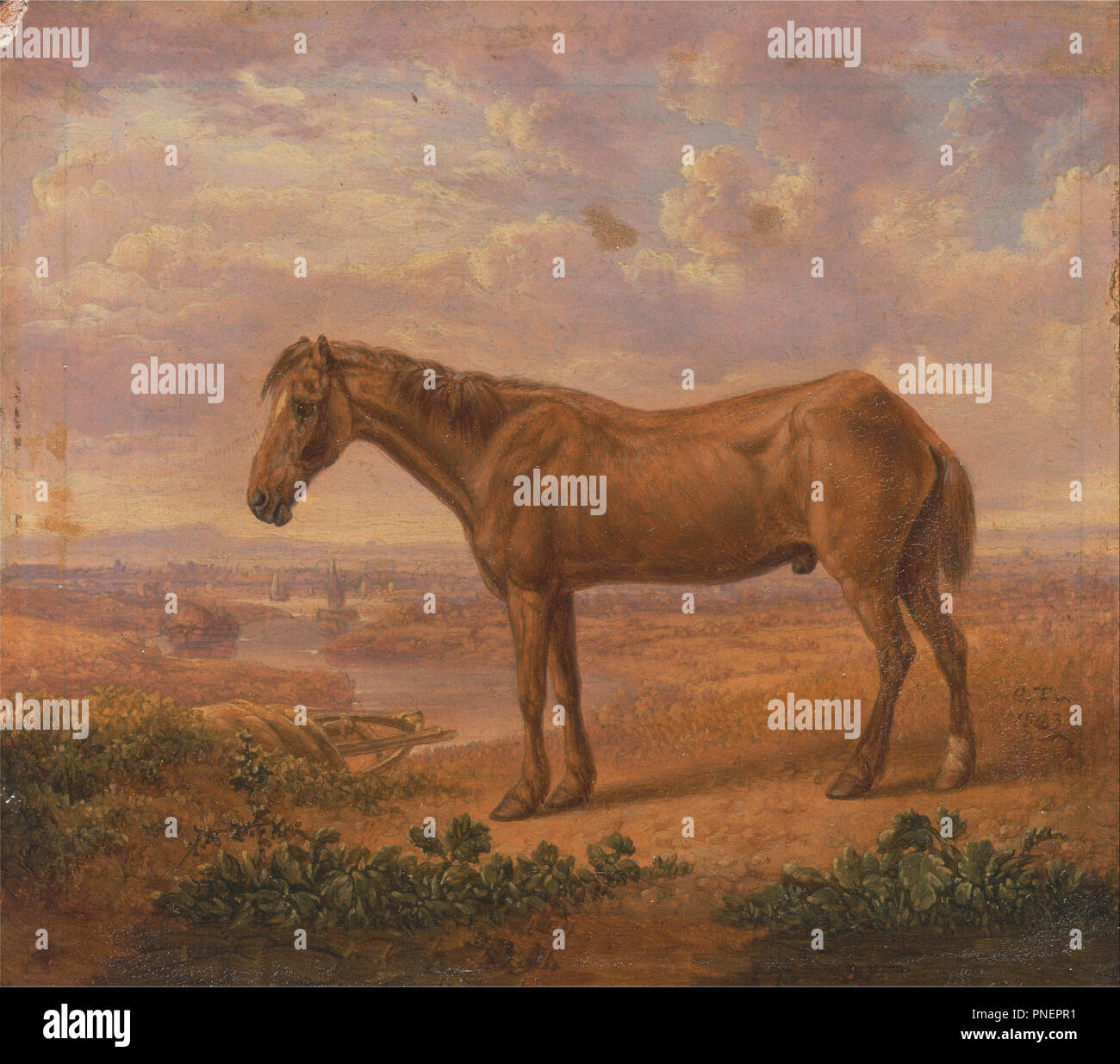 https://c8.alamy.com/comp/PNEPR1/old-billy-a-draught-horse-aged-62-dateperiod-1823-painting-oil-on-panel-height-102-mm-401-in-width-111-mm-437-in-author-charles-towne-PNEPR1.jpg