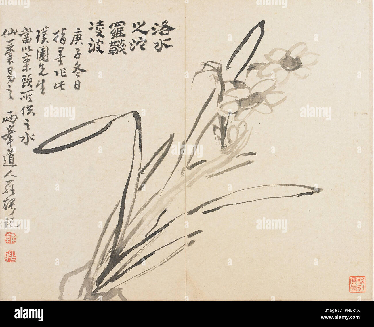 Landscapes, Flowers and Birds: Narcissus. Date/Period: 1780. Album. Ink on paper. Height: 282 mm (11.10 in); Width: 679 mm (26.73 in). Author: LUO PING. Stock Photo