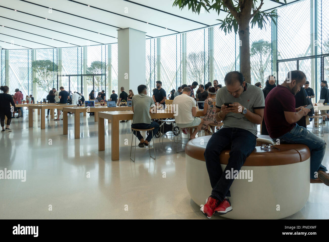 Interior of the new Apple Store in the Dubai Mall in Dubai, United Arab