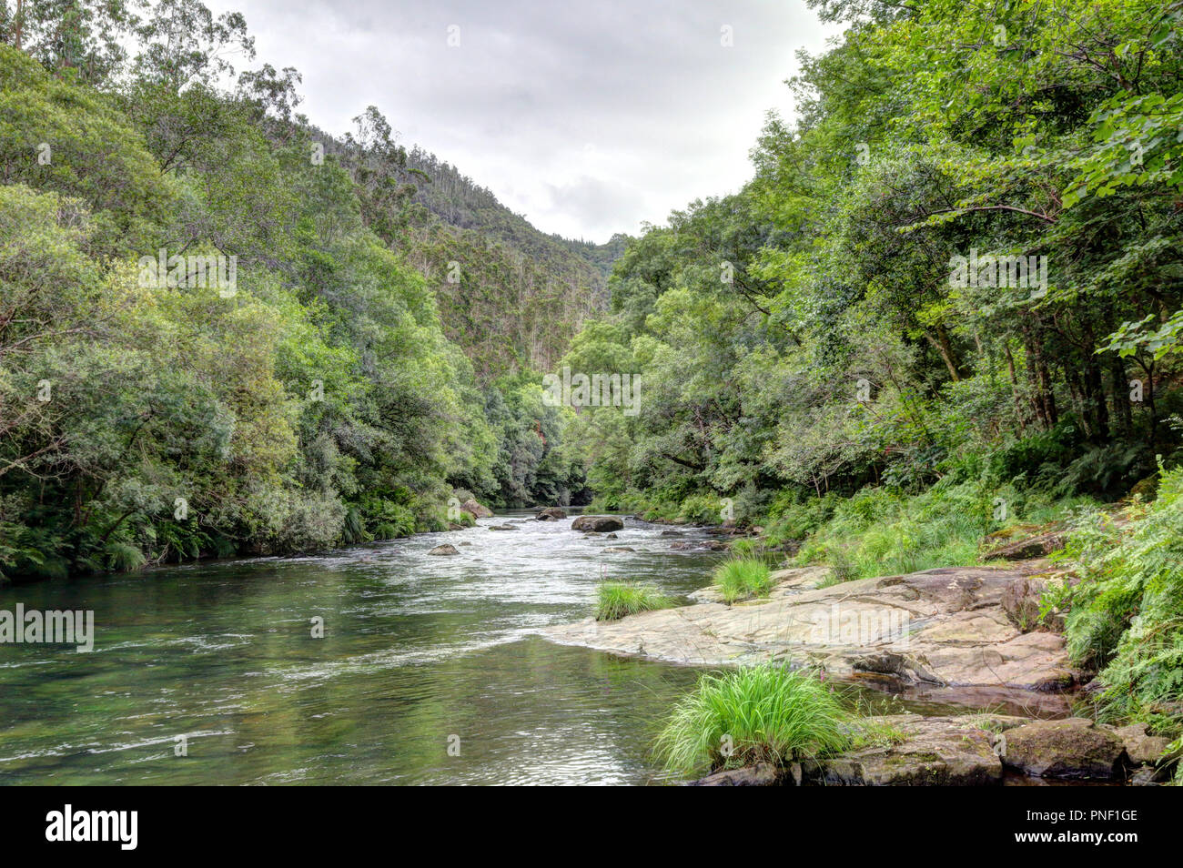 A landscape of the clear waters of the Eume river in a green dense thick forest, on the way to the Caaveiro Monastery, in Galicia, Spain Stock Photo
