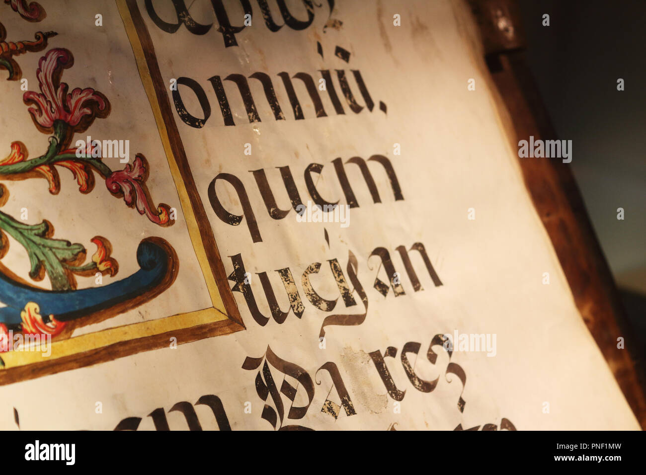 A close up view of an old book sheet made of parchment with some blackletter Latin writings and a colored miniature Stock Photo