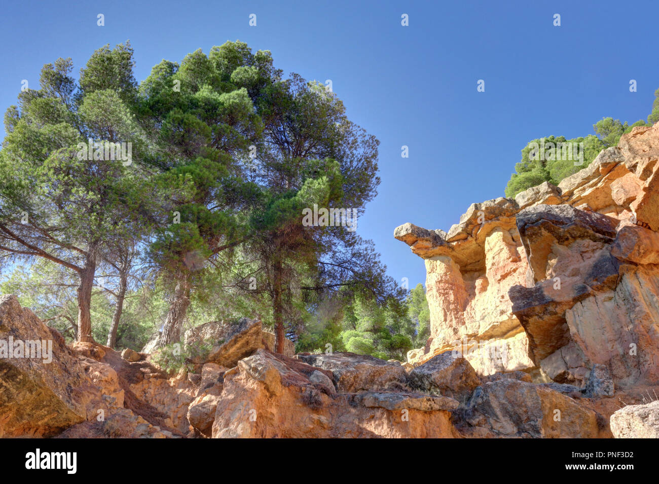 A protruding red rock with trees and a deep blue sky in the canyon style hills of Anento, a small town in Aragon, Spain Stock Photo