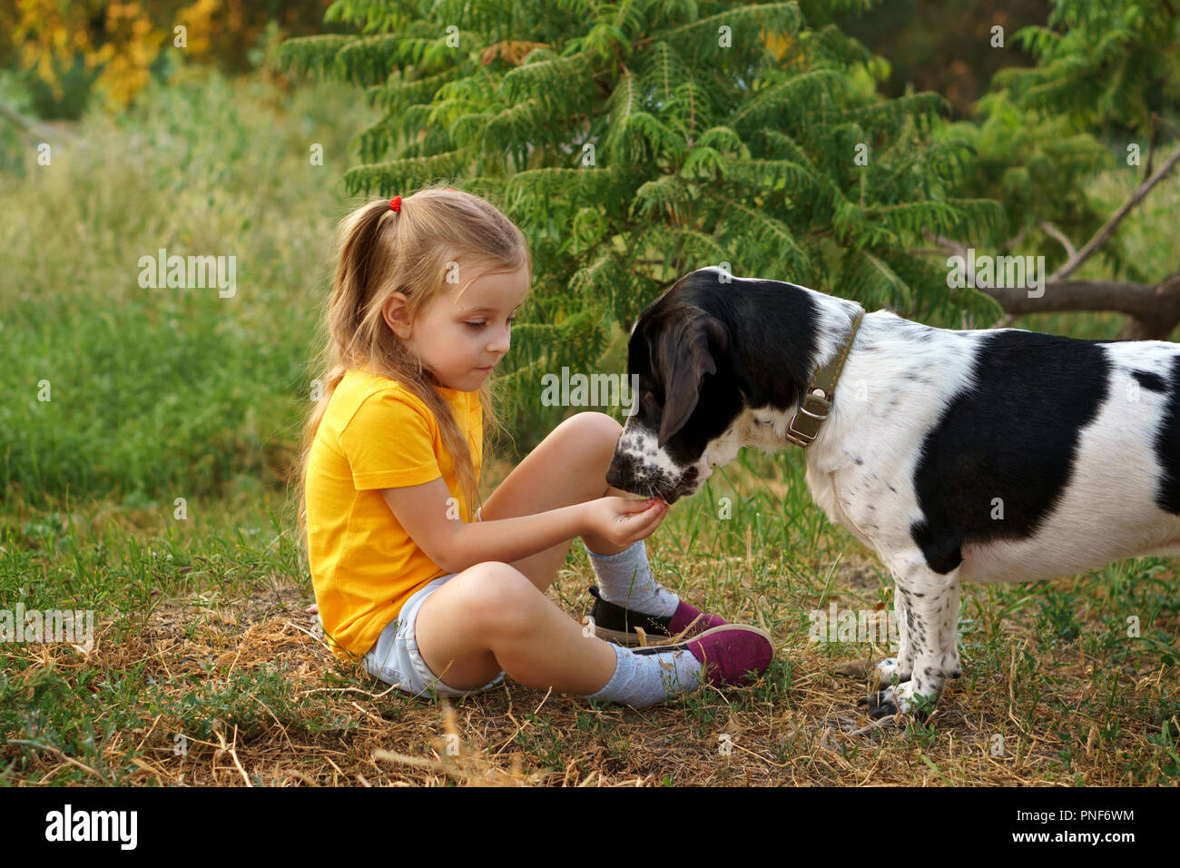 Little girl and mongrel dog outdoors. Child is feeding pet with hand. Children and animals Stock Photo - Alamy Little girl and mongrel dog outdoors. Child is feeding pet with hand. Children and animals Stock Photo - Alamy
