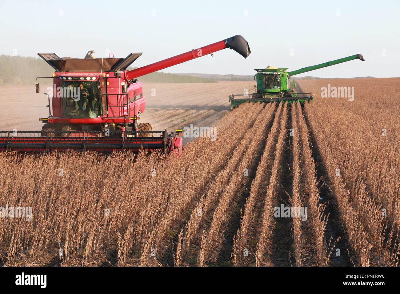 Heihe, China's Heilongjiang Province. 20th Sep, 2018. Farmers drive ...