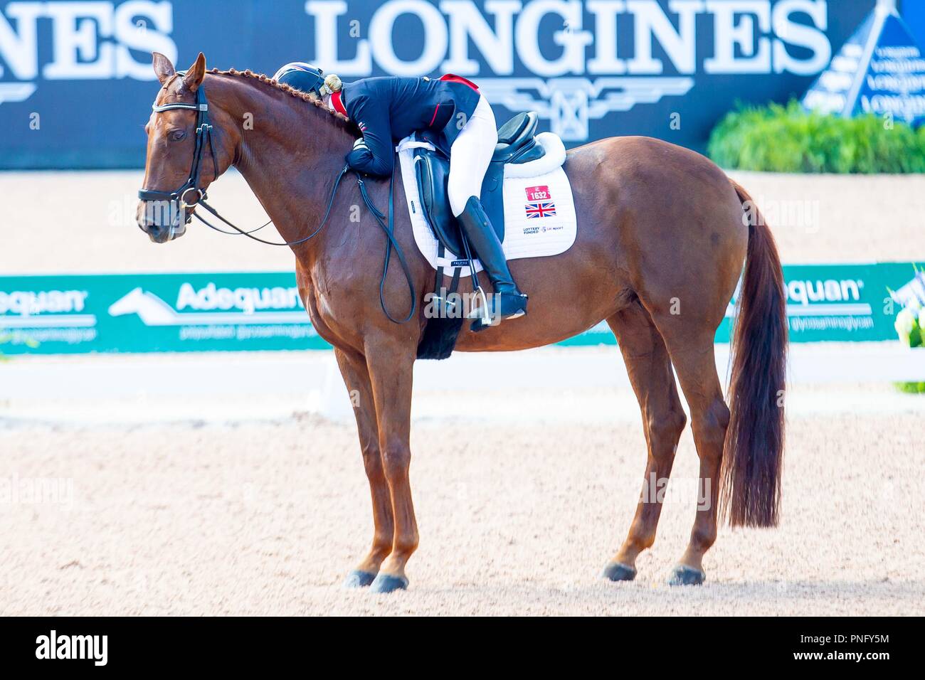 7th Place. Erin Frances Orford riding Dior. GBR. Team Test Grade lll.Para Dressage. Day 10. World Equestrian Games. WEG 2018 Tryon. North Carolina. USA. 21/09/2018. Stock Photo