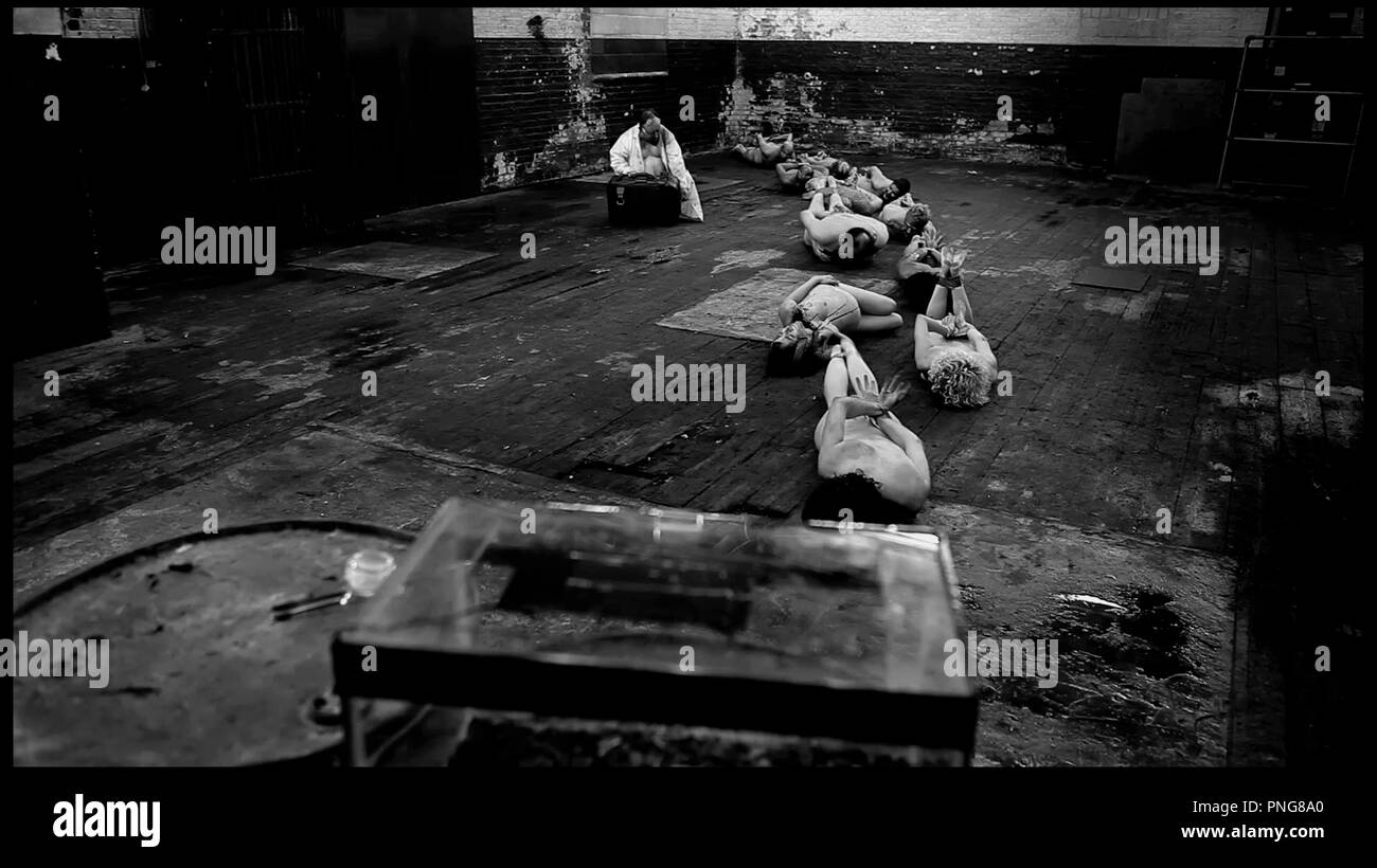 Centipede Black and White Stock Photos & Images - Alamy