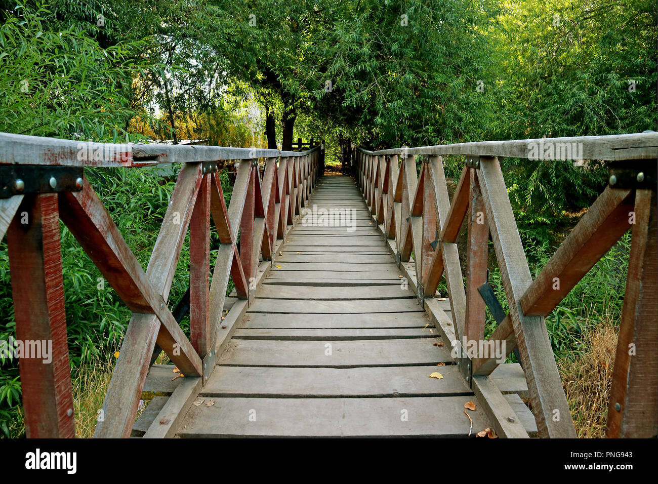 Wooden bridge in the forest hi-res stock photography and images - Alamy