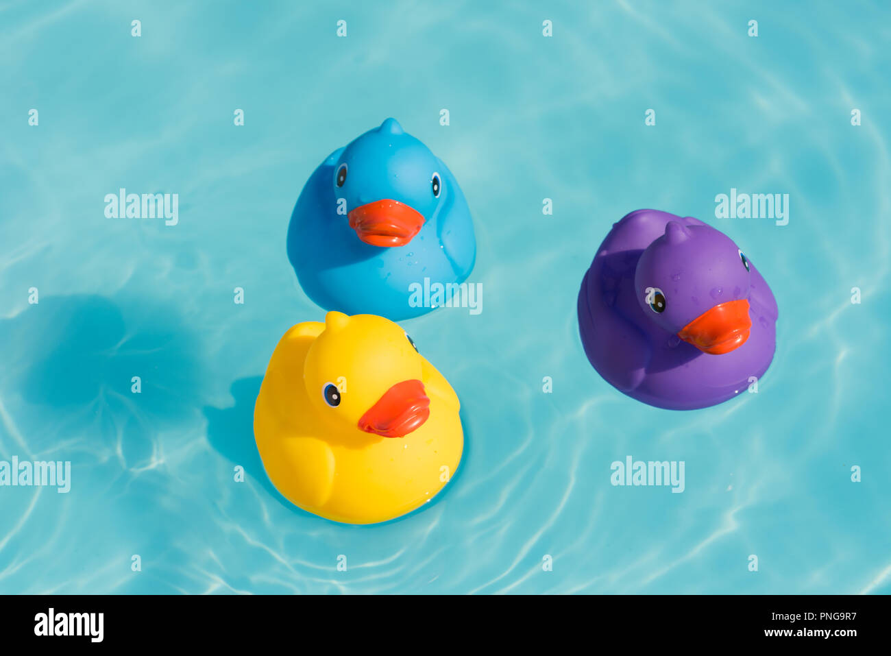 rubber ducks for swimming pools
