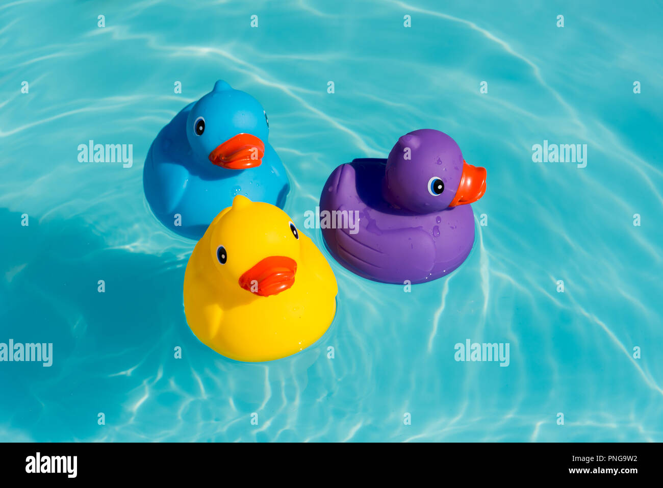 rubber ducks for swimming pools