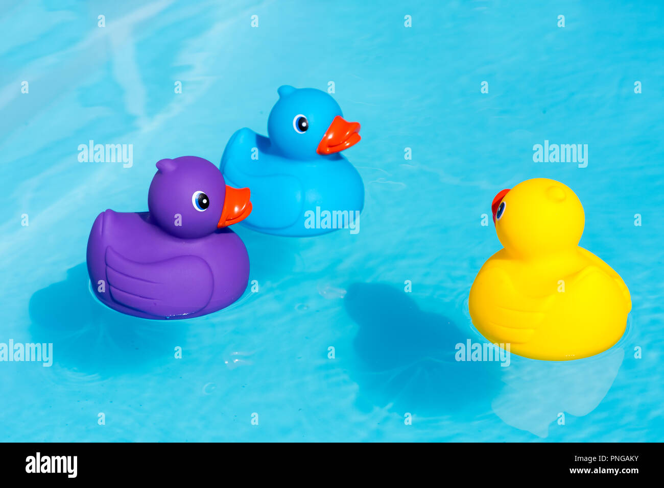 rubber ducks for swimming pools