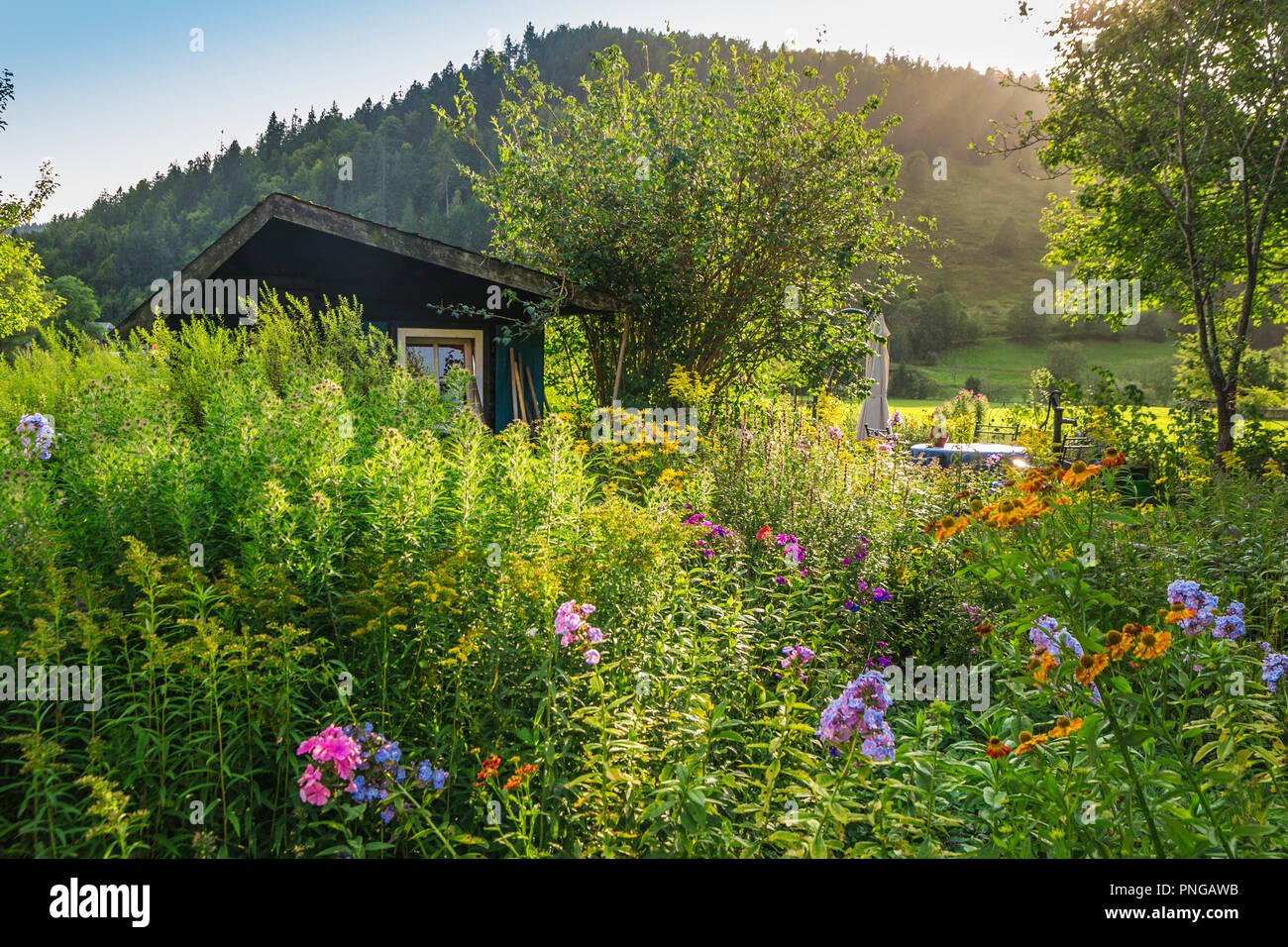 Menzenschwand. Black Forest. Baden Wurttemberg. Germany. Europe Stock Photo
