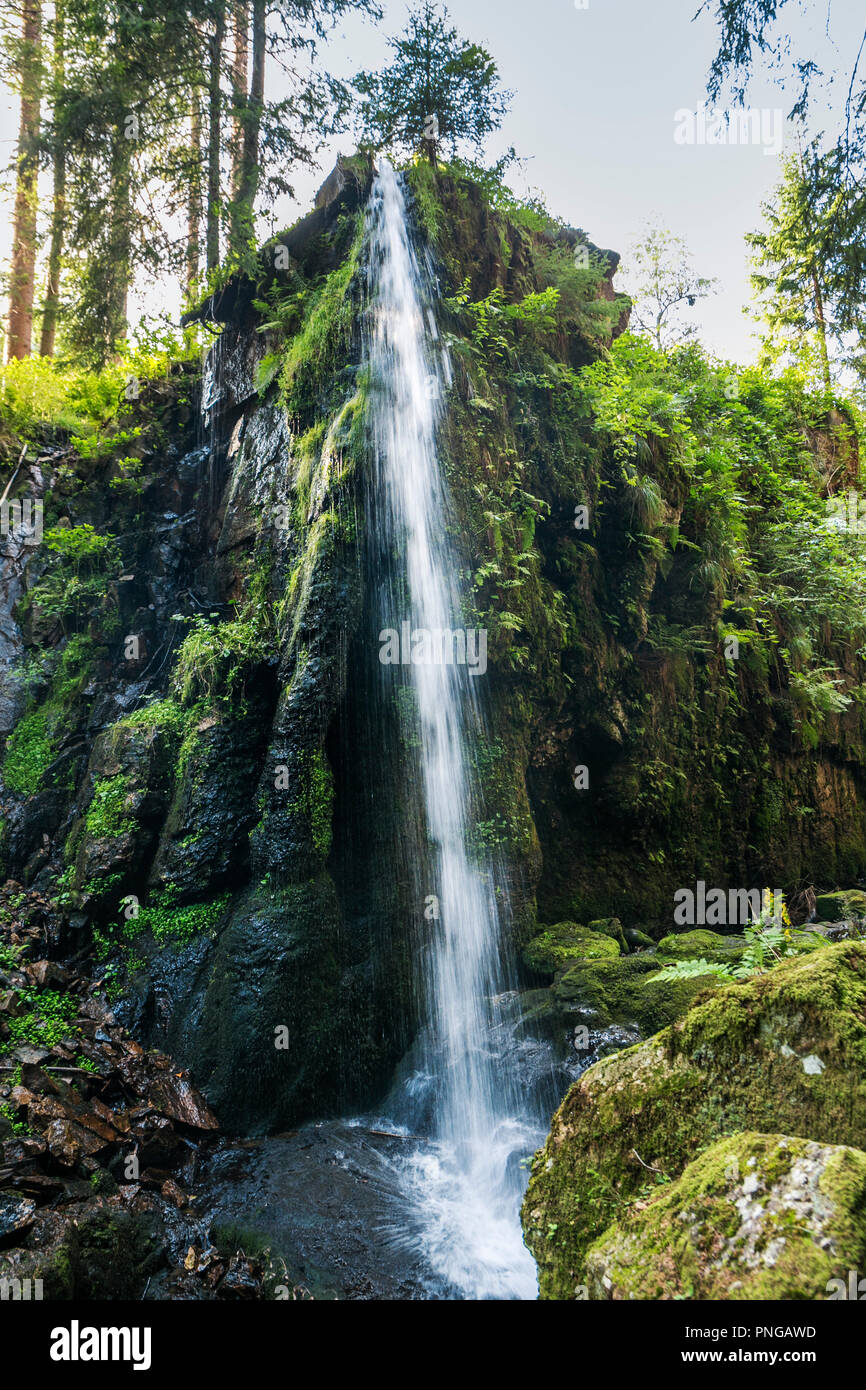 Waterfall. Menzenschwand. Black Forest. Baden Wurttemberg. Germany. Europe Stock Photo