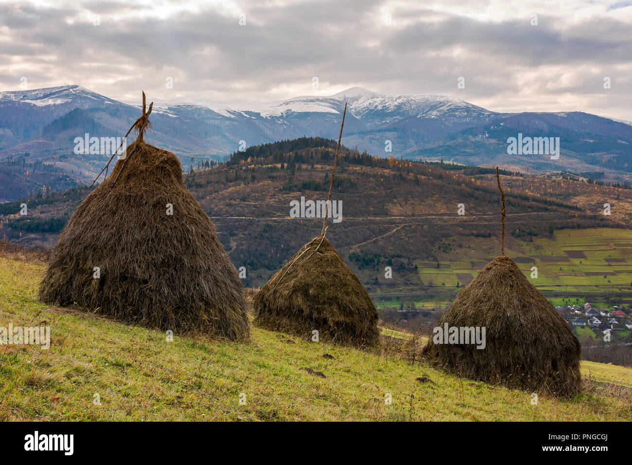 haystacks on the hill. gloomy late autumn landscape with overcast sky. snow on tops of distant mountain ridge. village down in the valley Stock Photo