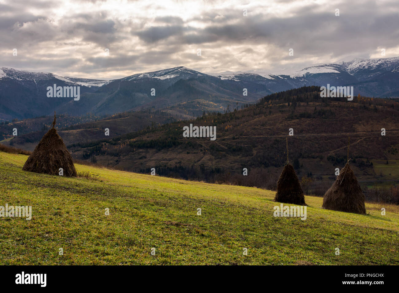 haystacks on the hill. gloomy late autumn landscape with overcast sky. snow on tops of distant mountain ridge Stock Photo