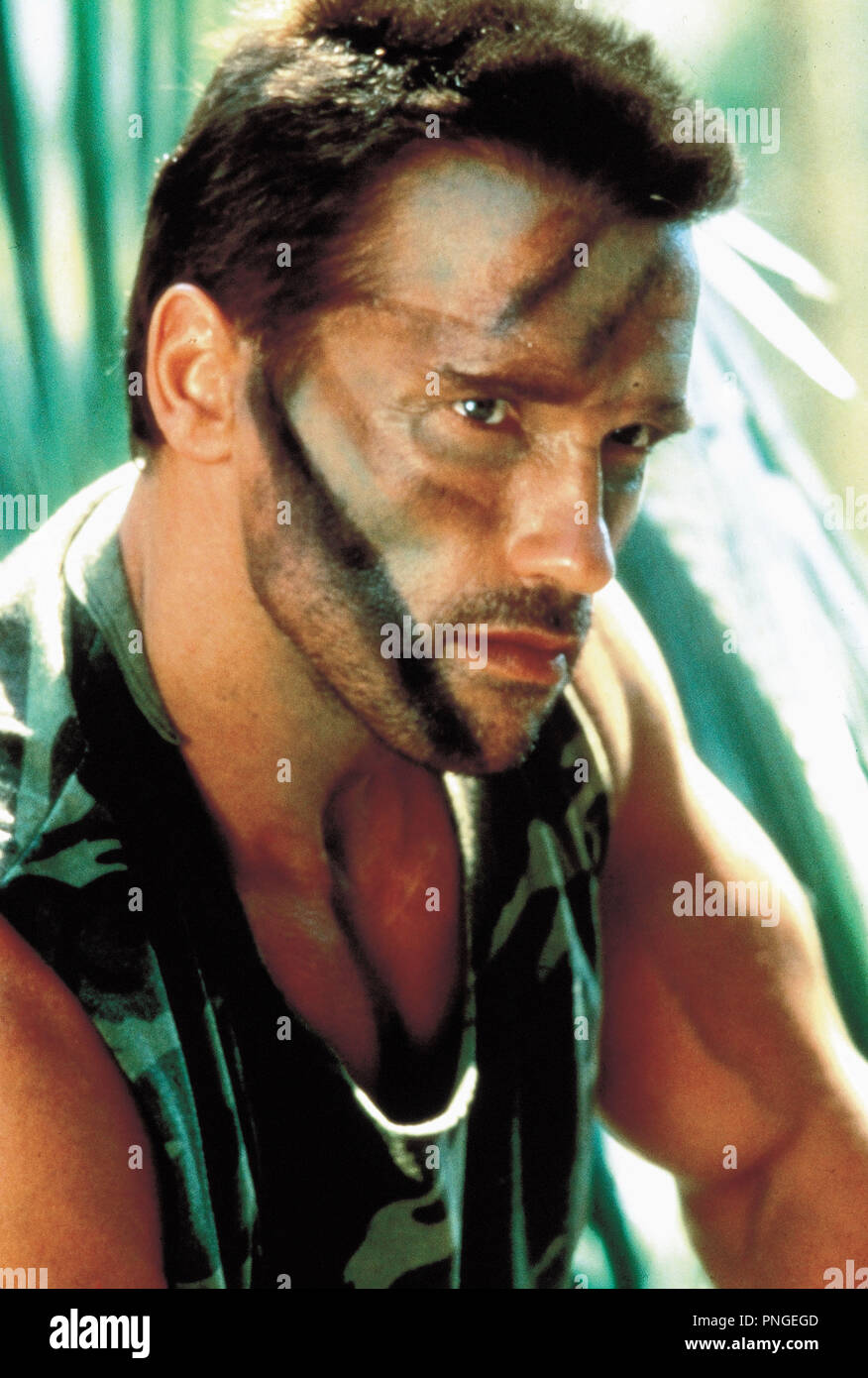 original film title predator english title predator year 1987 director john mctiernan stars arnold schwarzenegger credit 20th century fox album stock photo alamy https www alamy com original film title predator english title predator year 1987 director john mctiernan stars arnold schwarzenegger credit 20th century fox album image219794861 html