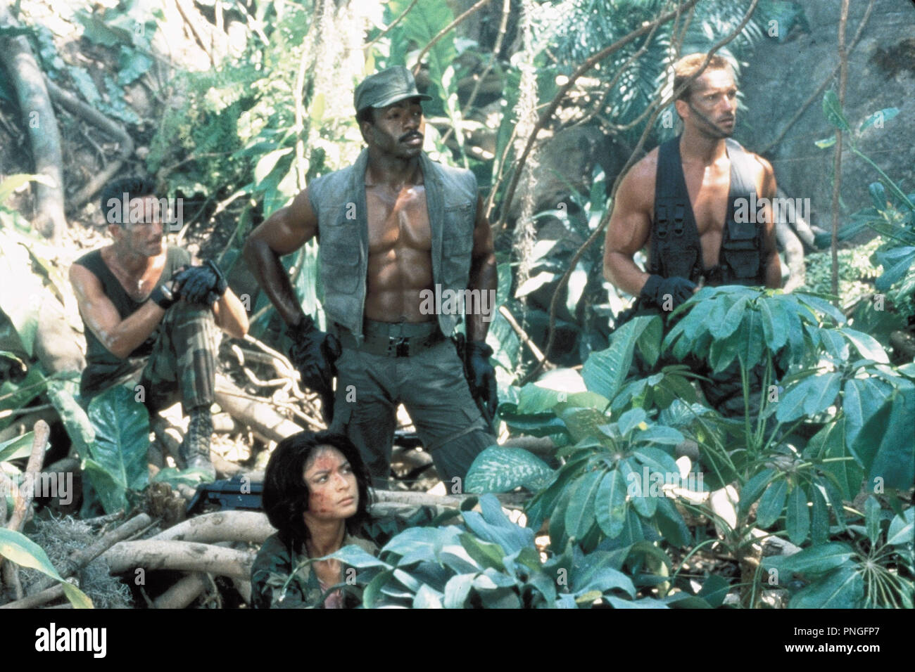 Original film title: PREDATOR. English title: PREDATOR. Year: 1987