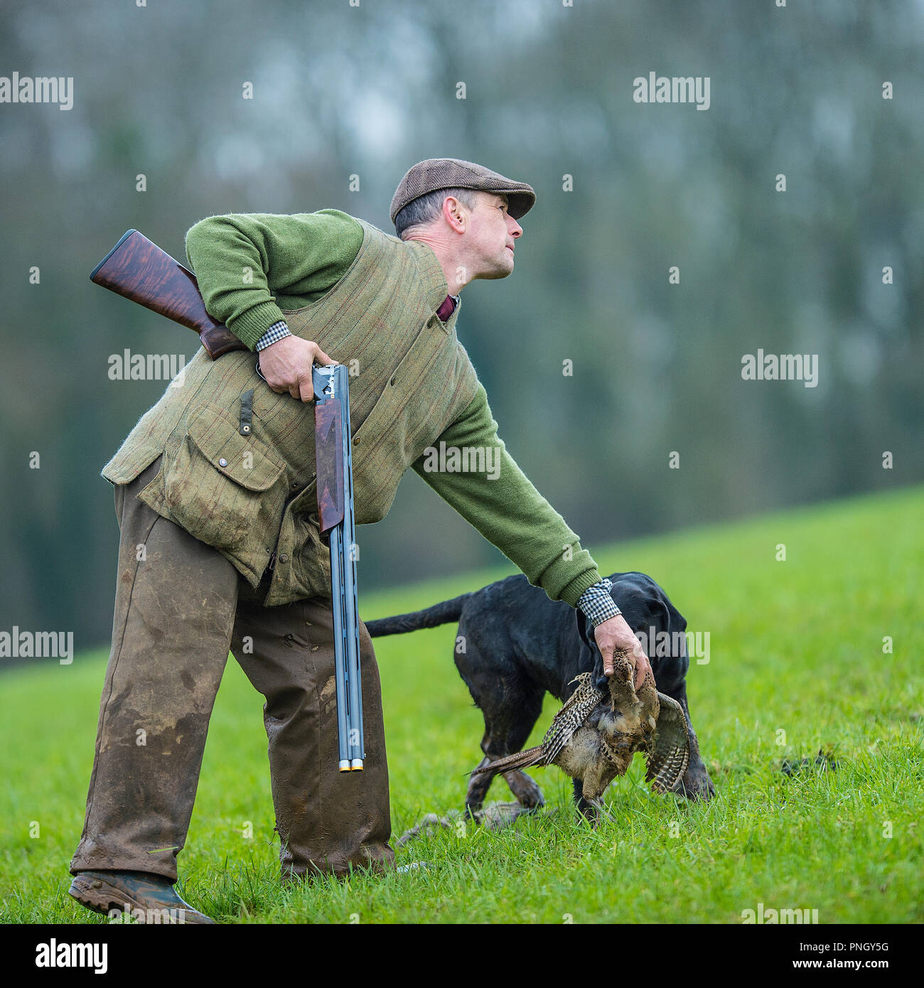 hunter and dog on a shoot Stock Photo