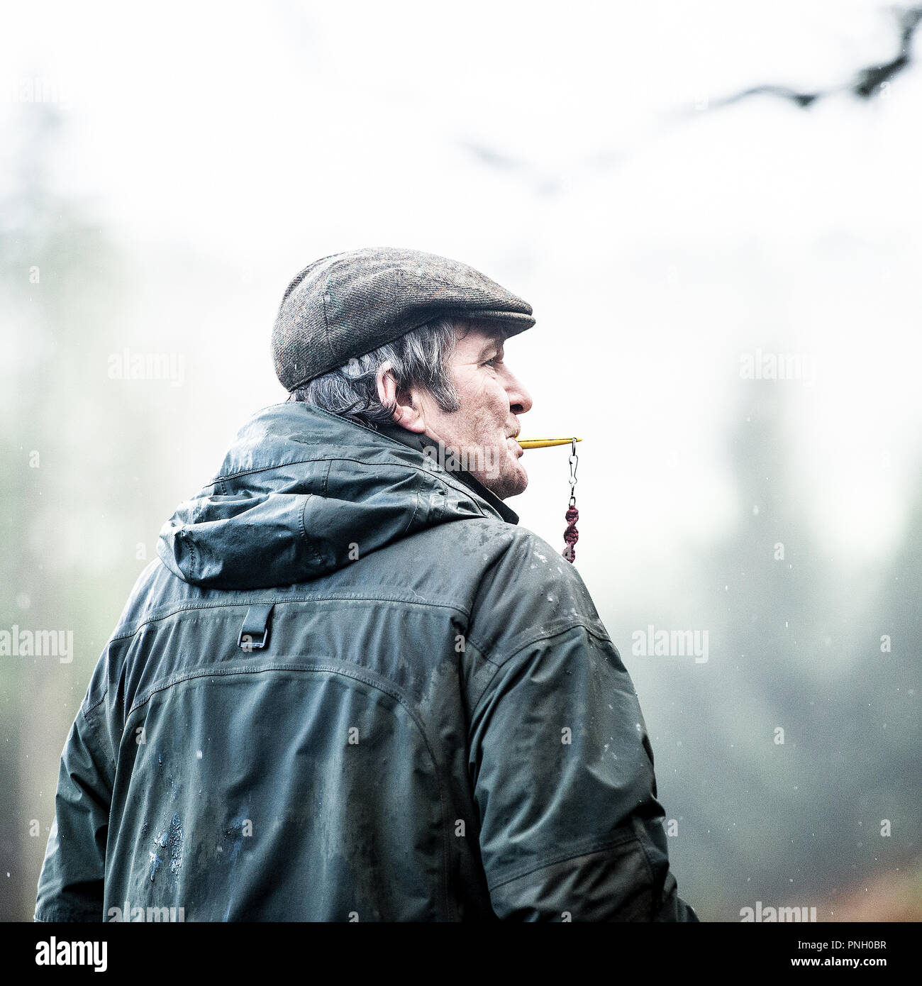 male dog trainer blowing whistle Stock Photo