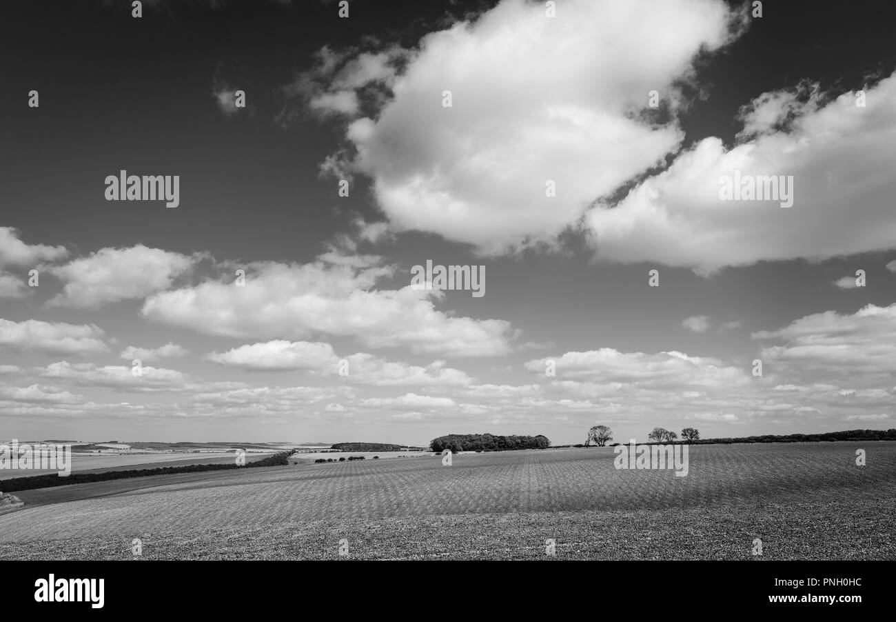 . Ploughed farmland across the rolling Wolds  under a blue sky in early autumn near Sledmere, Yorkshire, UK. Stock Photo