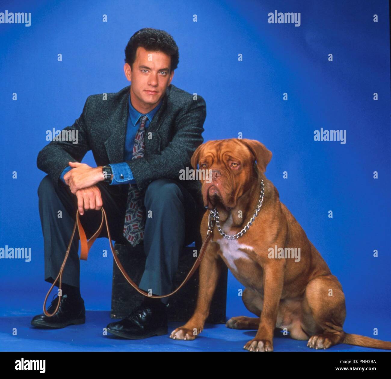 Tom Hanks Dog Movie