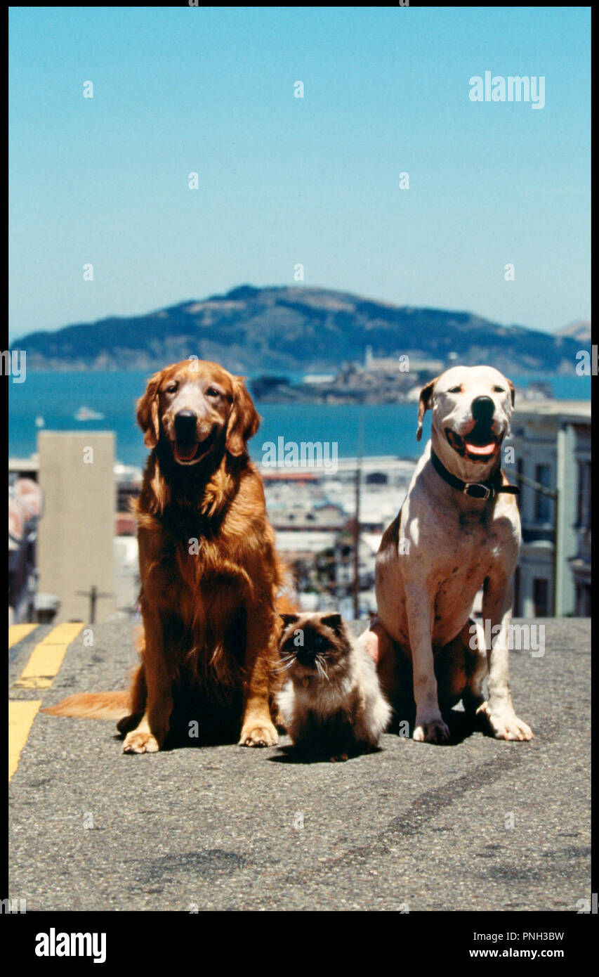 Prod Db â Walt Disney Dr Lincroyable Voyage ã San