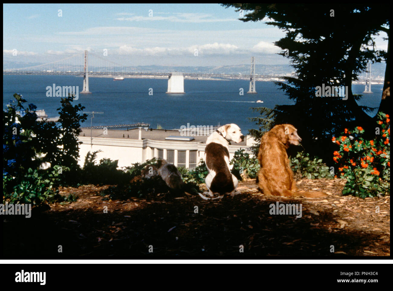 Prod Db â Walt Disney Dr Lincroyable Voyage ã San