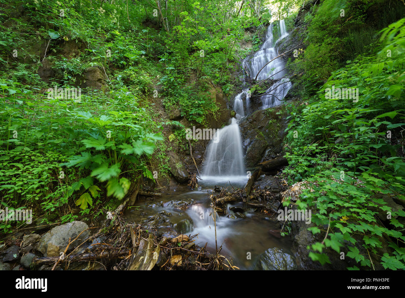 Waterfalls on the river in summer with long exposure, Sakhalin Island ...