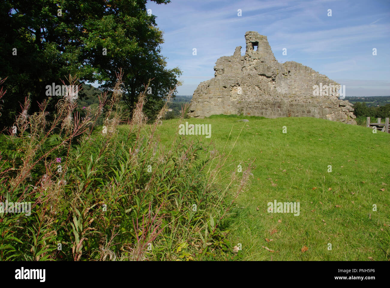 Caergwrle Castle Ruin Stock Photo Alamy