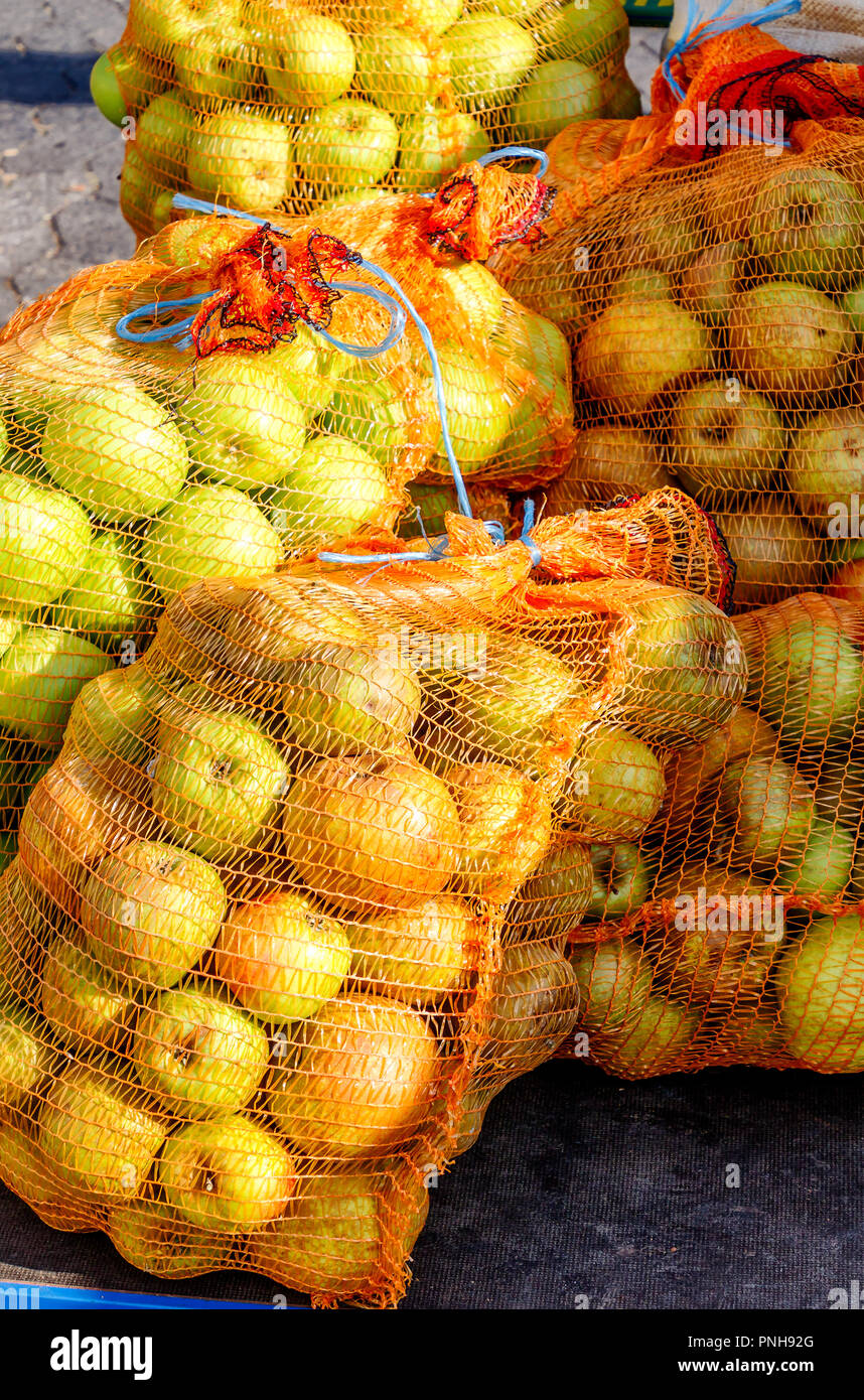 A new delivery to a german cider winery – Net bags full of beautiful fresh apples. Stock Photo