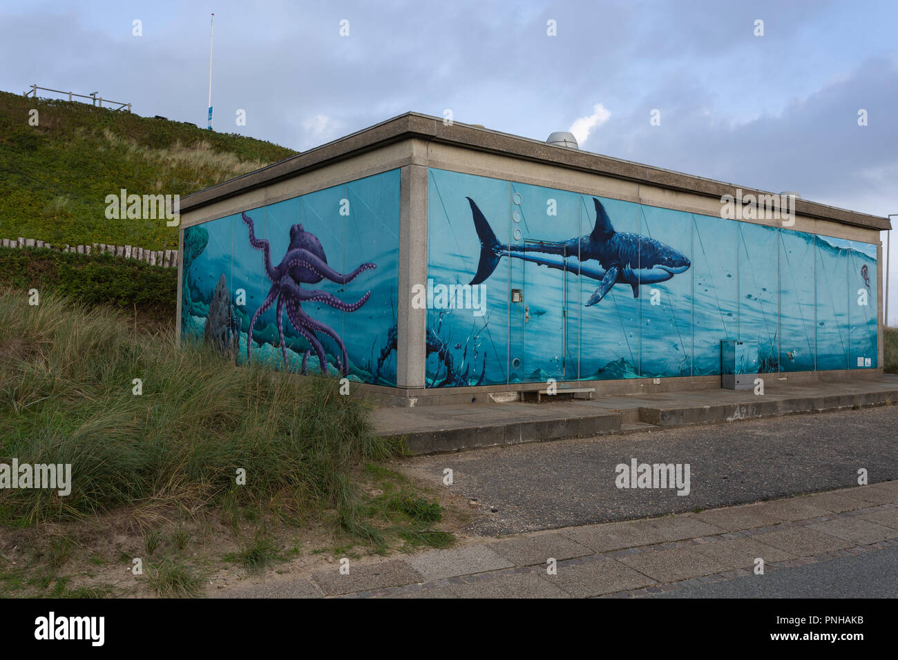 Street Art artists have decorated buildings and walls with grafitti art in Hvide Sande, Denmark. Street Art Künstler haben in Hvide Sande, Dänemark, G Stock Photo