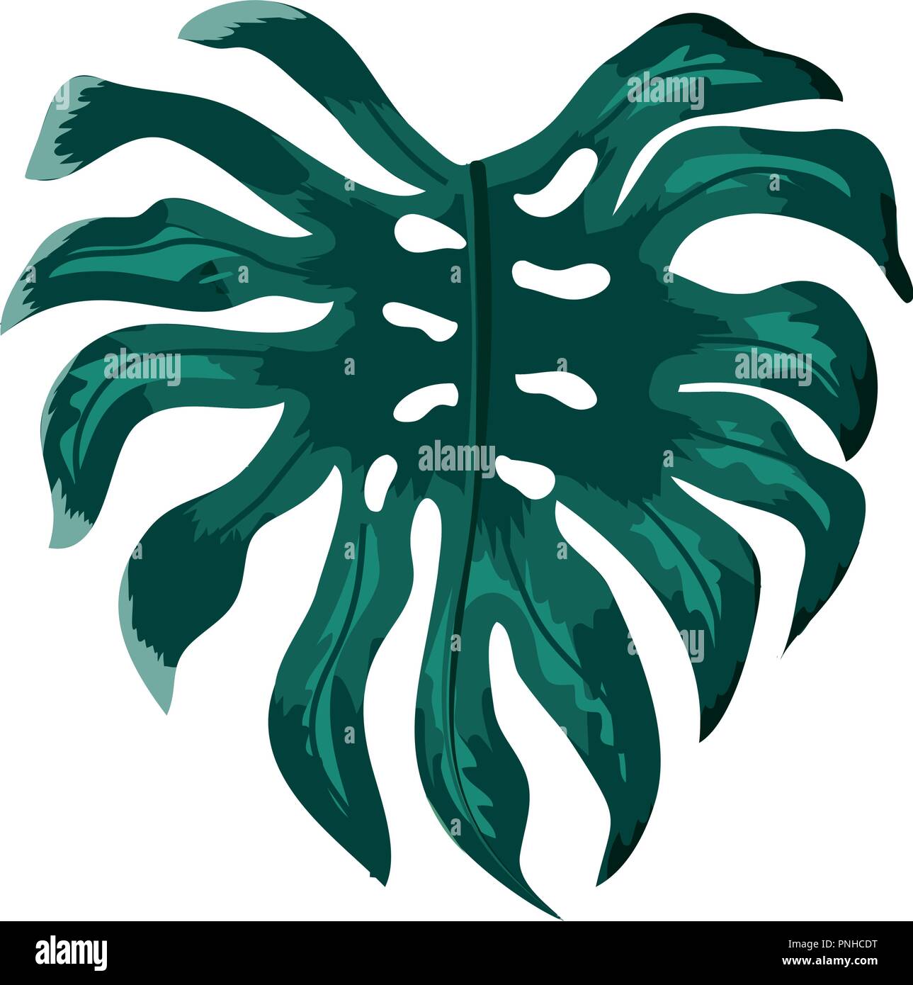 tropical plant, leaves with nature style Stock Vector Image & Art - Alamy