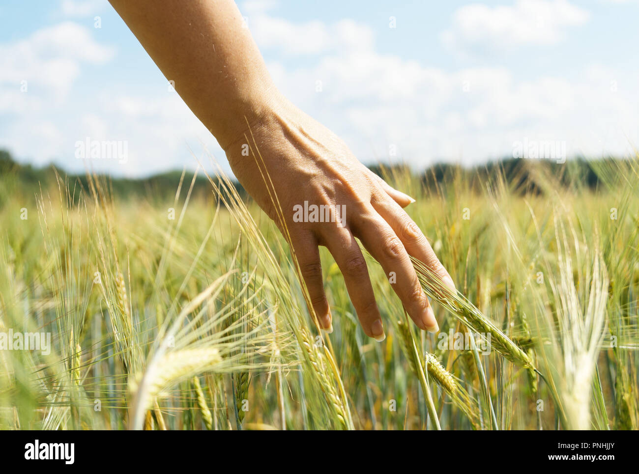 Female in stem field hi-res stock photography and images - Alamy