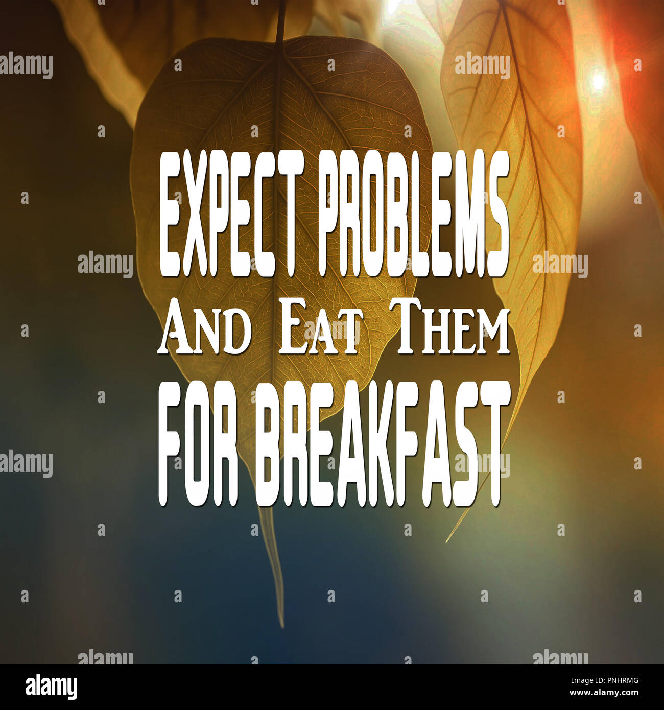 Inspirational Quotes Expect problems and eat them for breakfast ...