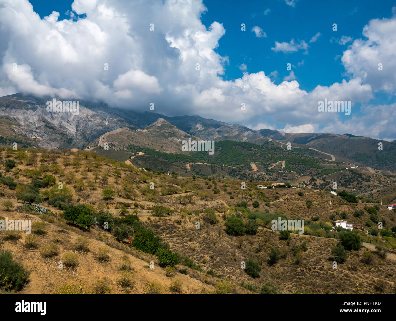 View across valley with olive and almond tree groves and white houses to mountain ridges, Axarquia, Andalusia, Spain Stock Photo