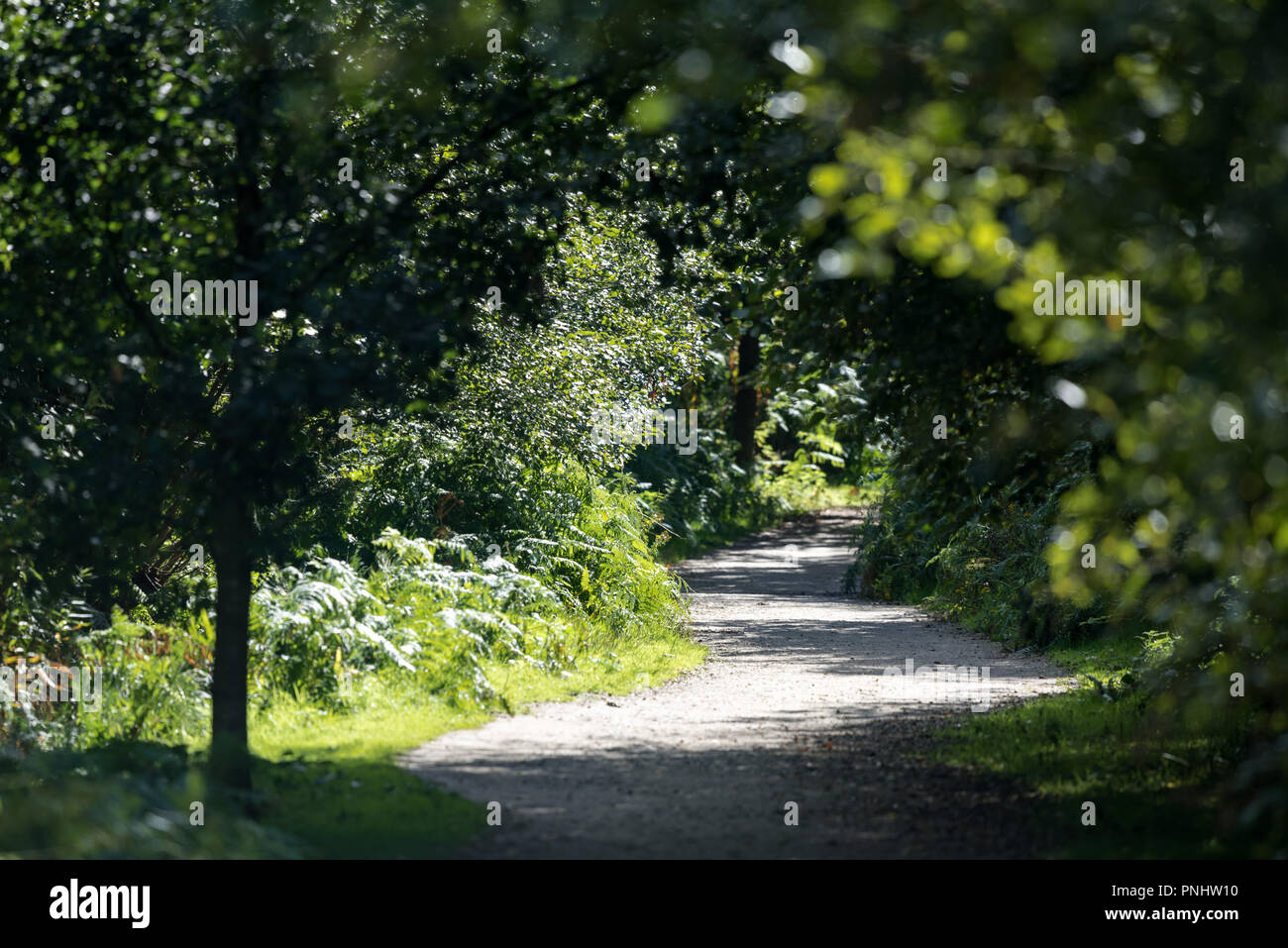 Dunham Massey, Altrincham, Cheshire Stock Photo Alamy