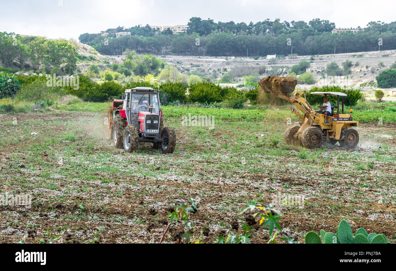 Maltese farmers spreading manure with tractors onto a field Stock Photo