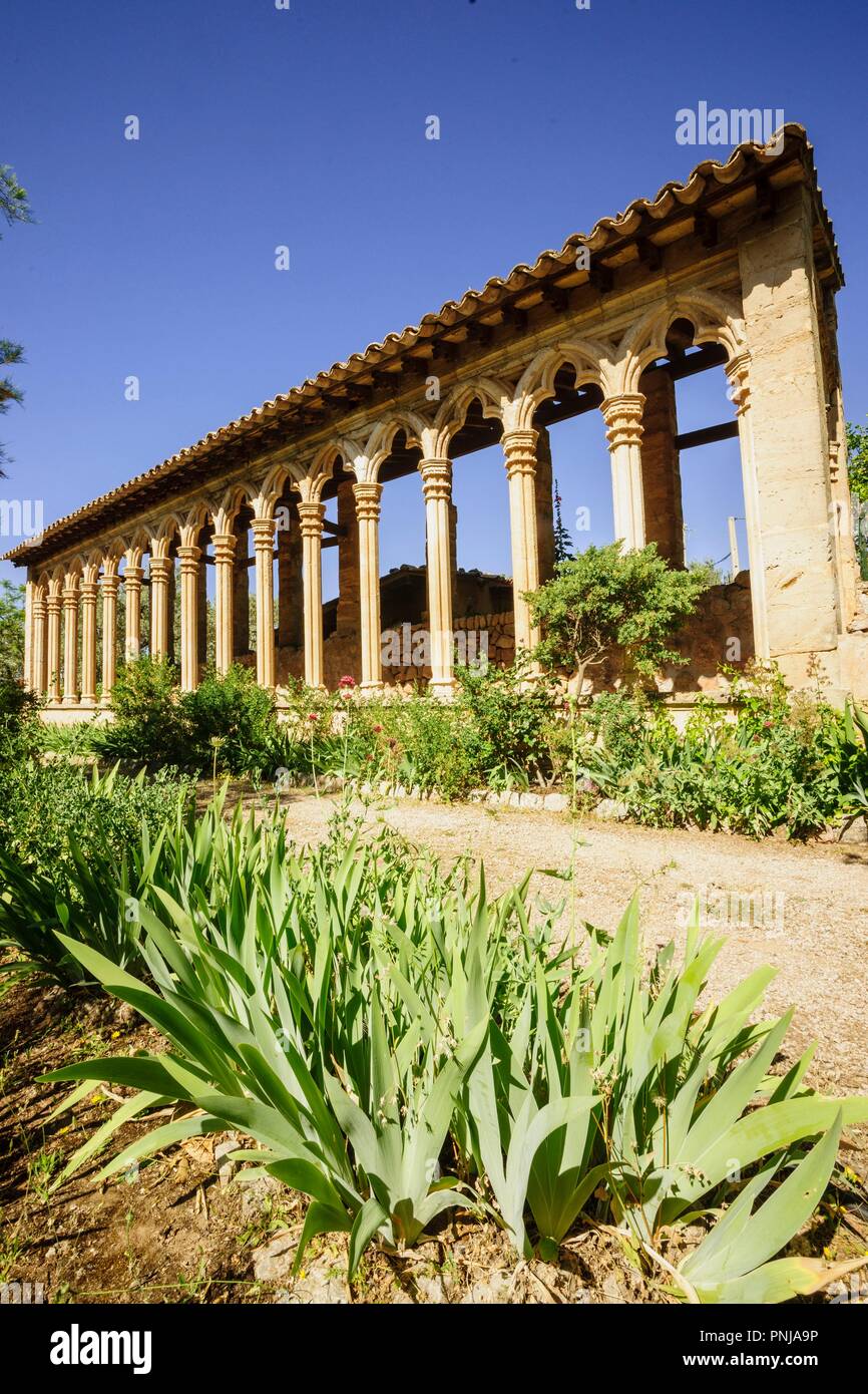 arcos góticos del siglo XIII provenientes del antiguo convento de Santa Margalida de Palma. Monasterio de Miramar, fundado en 1276 . Valldemossa. Sierra de Tramuntana. Mallorca. Islas Baleares. España. Stock Photo